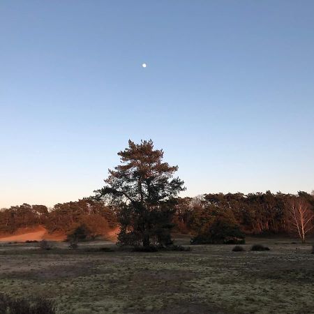 Villa Bonte Specht Otterlo Esterno foto