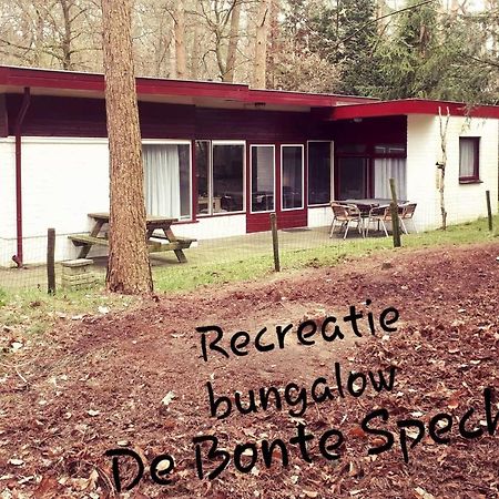 Villa Bonte Specht Otterlo Esterno foto