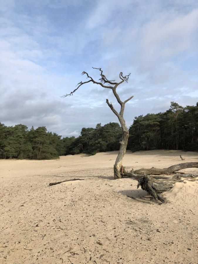 Villa Bonte Specht Otterlo Esterno foto